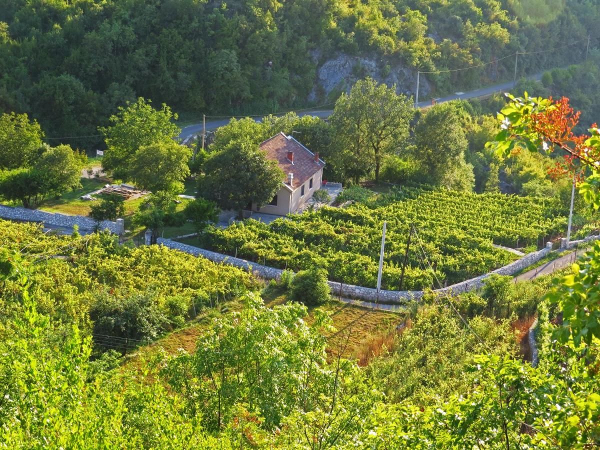 Загородные дома Estate & Winery San Duyevo Риека-Црноевича-10