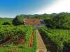 Загородные дома Estate & Winery San Duyevo Риека-Црноевича-4