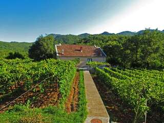 Загородные дома Estate & Winery San Duyevo Риека-Црноевича Апартаменты с террасой-1
