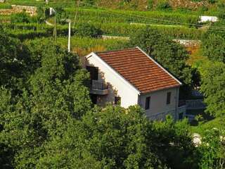 Загородные дома Estate & Winery San Duyevo Риека-Црноевича Апартаменты с террасой-15