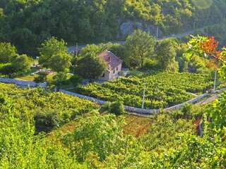 Загородные дома Estate & Winery San Duyevo Риека-Црноевича-6