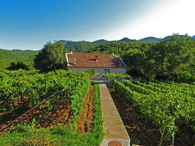 Загородные дома Estate & Winery San Duyevo Риека-Црноевича-7