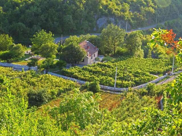 Загородные дома Estate & Winery San Duyevo Риека-Црноевича-9