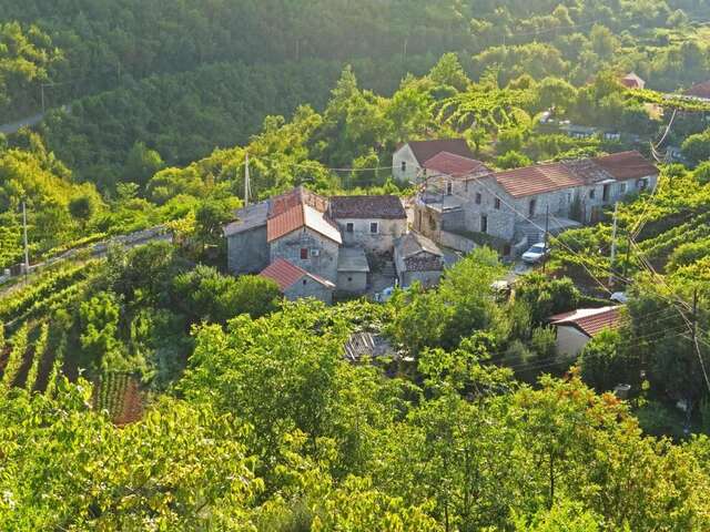 Загородные дома Estate & Winery San Duyevo Риека-Црноевича-11